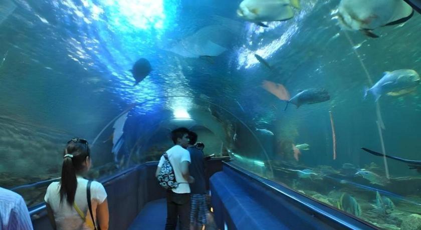 Vinpearl Discovery Rockside Nha Trang Bagian luar foto